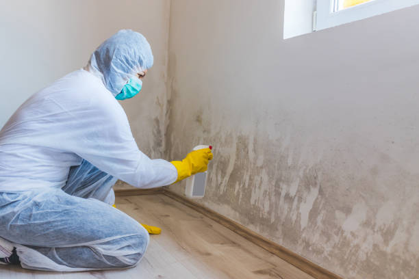 Mold Remediation specialist working in Union Bridge