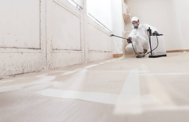 Black mold remediation team in Union Bridge